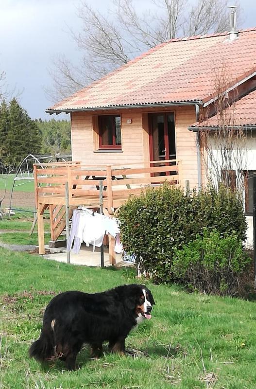Gite La Ferme De Baffour La Chaise-Dieu Eksteriør billede